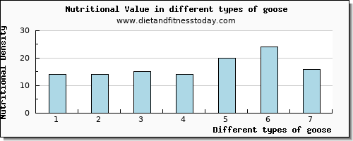 goose nutritional value per 100g